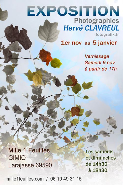 Exposition Hervé Clavreul - Vernissage samedi 9 novembre à 17 h