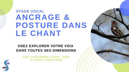 Stage vocal | Ancrage et posture dans le chant