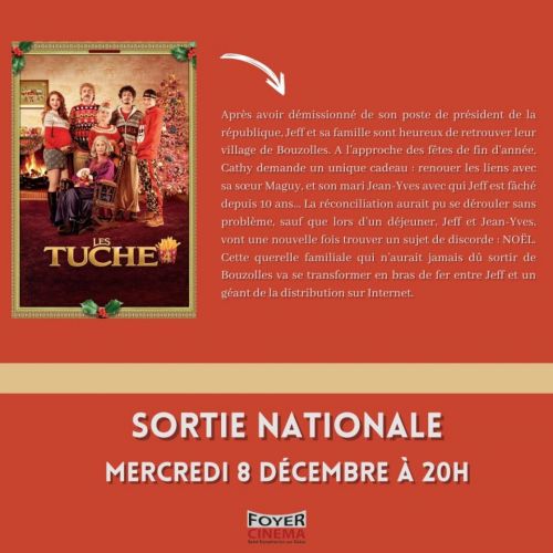 SORTIE NATIONALE  DU FILM 'LES TUCHE 4'