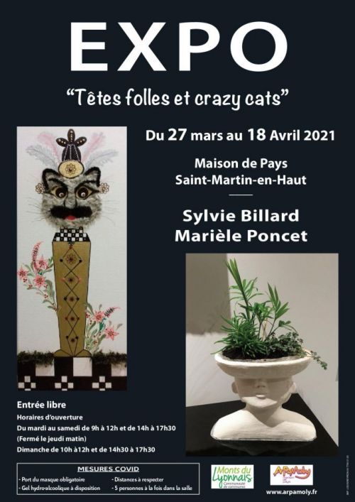 "Têtes Folles et Crazy Cats" de Sylvie BILLARD & Marielle PONCET