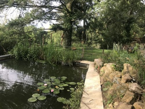 Découverte de la forêt des "comme ça vient"