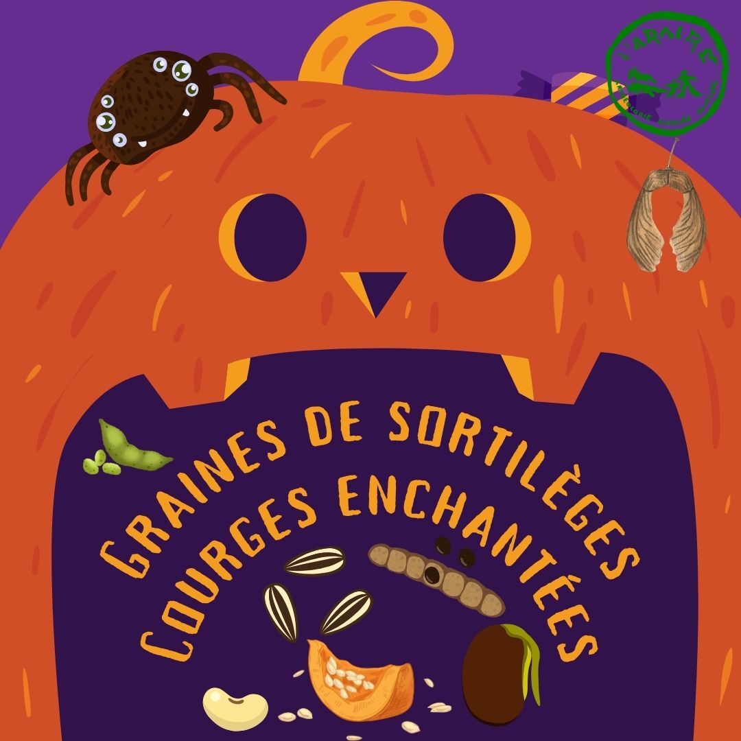Atelier « Graines de Sortilèges & Courges Enchantées »
