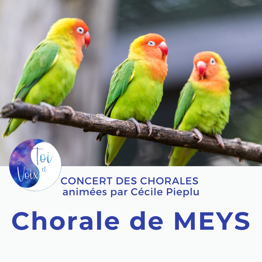 Concert chorale MEYS